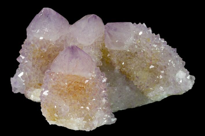 Cactus Quartz (Amethyst) Crystal Cluster - South Africa #137771